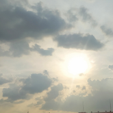 Plant-Based Mornings for a Clear Mind: Rituals That Train Your Brain